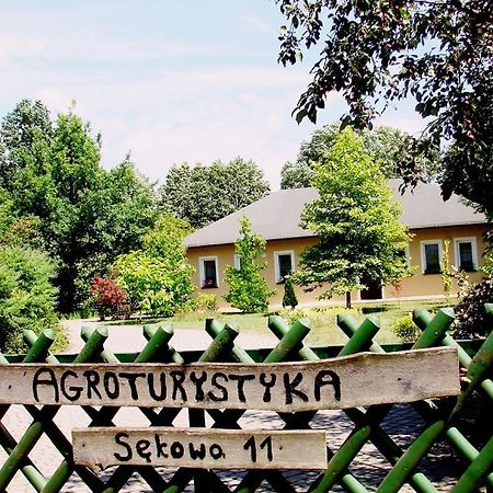 Agroturystyka Pod Modrzewiami Nowy Tomyśl Exterior foto