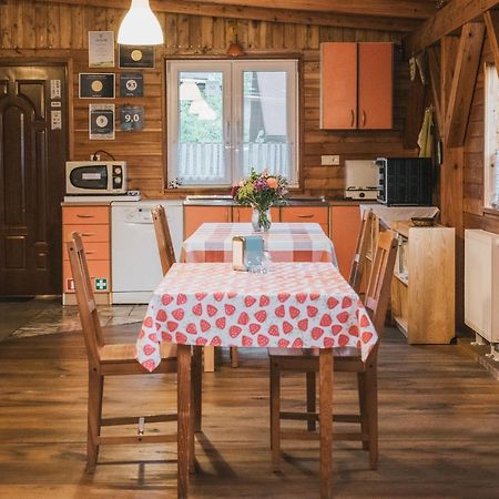 Agroturystyka Pod Modrzewiami Nowy Tomyśl Exterior foto