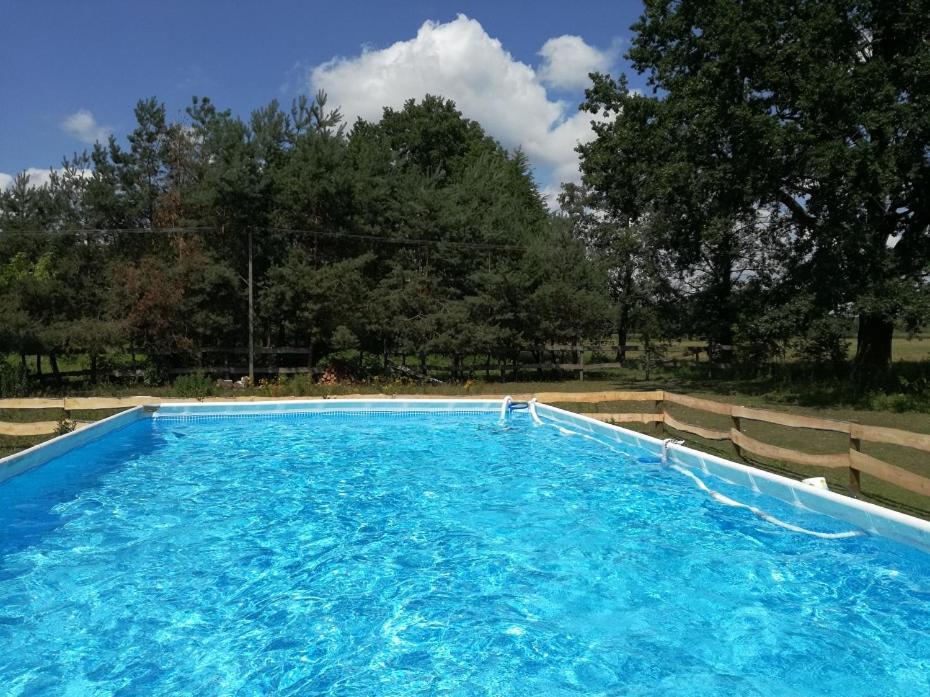 Agroturystyka Pod Modrzewiami Nowy Tomyśl Exterior foto