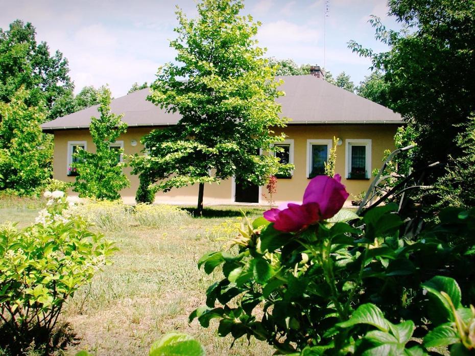 Agroturystyka Pod Modrzewiami Nowy Tomyśl Exterior foto
